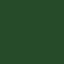 Allgaier grün - LM 6111