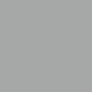 Ferguson silber 82